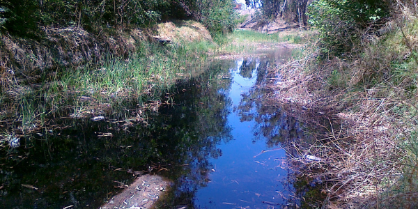 Urban Ecology and Sustainability Lab